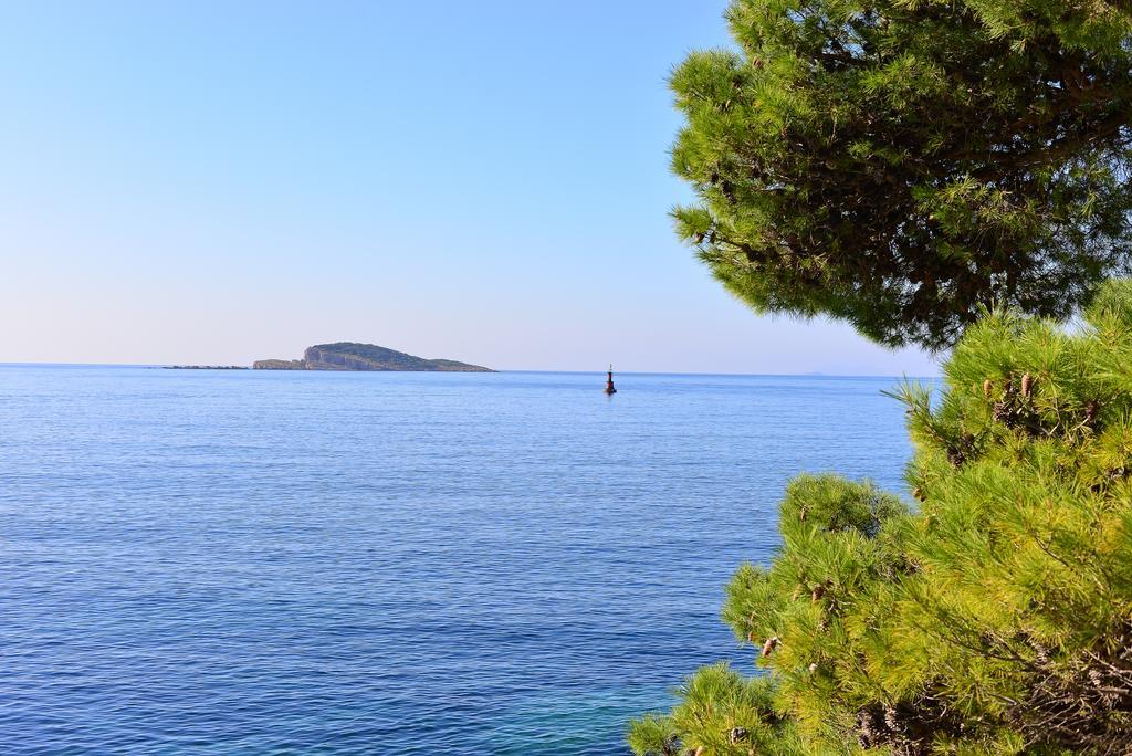 A&M Cavtat Family Apartment - 3 Bedrooms And Free Parking Extérieur photo