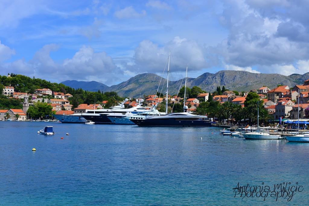 A&M Cavtat Family Apartment - 3 Bedrooms And Free Parking Extérieur photo